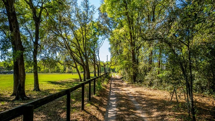 rainbowpark about graphic rainbowpark about graphic